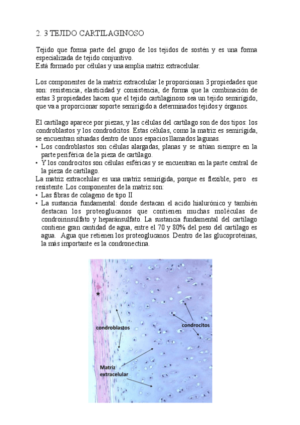 Miniatura del documento TEJIDO-CARTILAGINOSO-pdf-.pdf