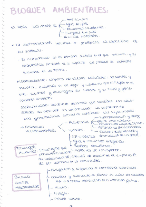 Miniatura del documento RESUMEN-AMBIENTALES-Y-EXAMENES.pdf