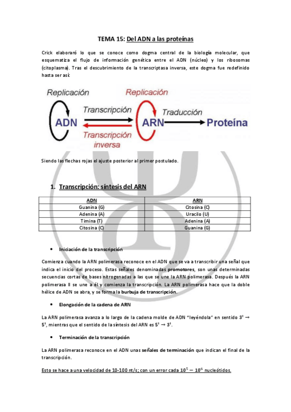 Miniatura del documento Tema-15-y-17.pdf