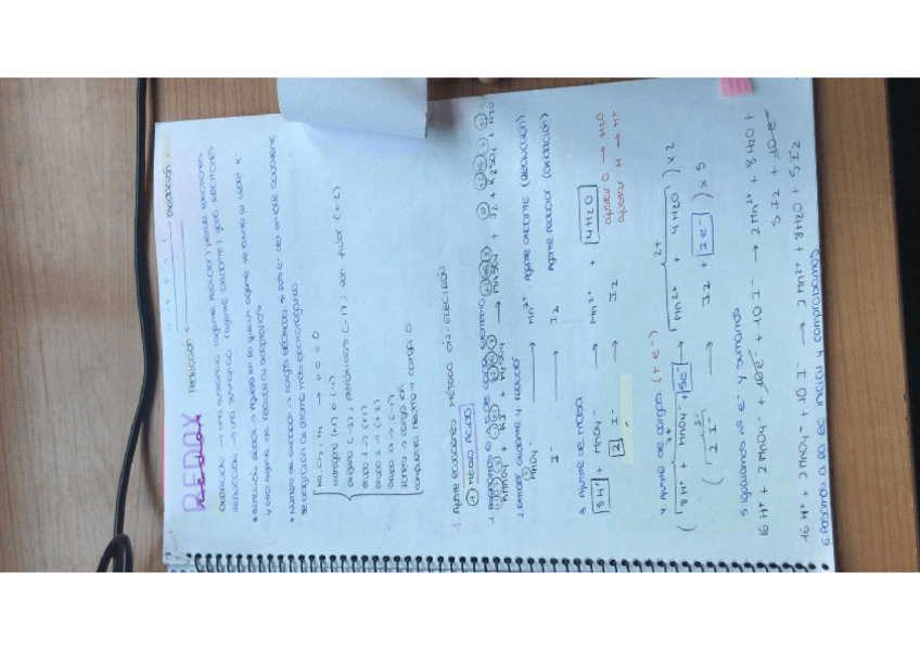 Miniatura del documento REDOX.pdf