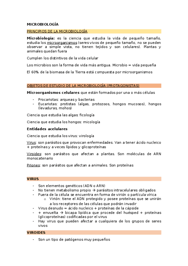 Miniatura del documento 1.docx