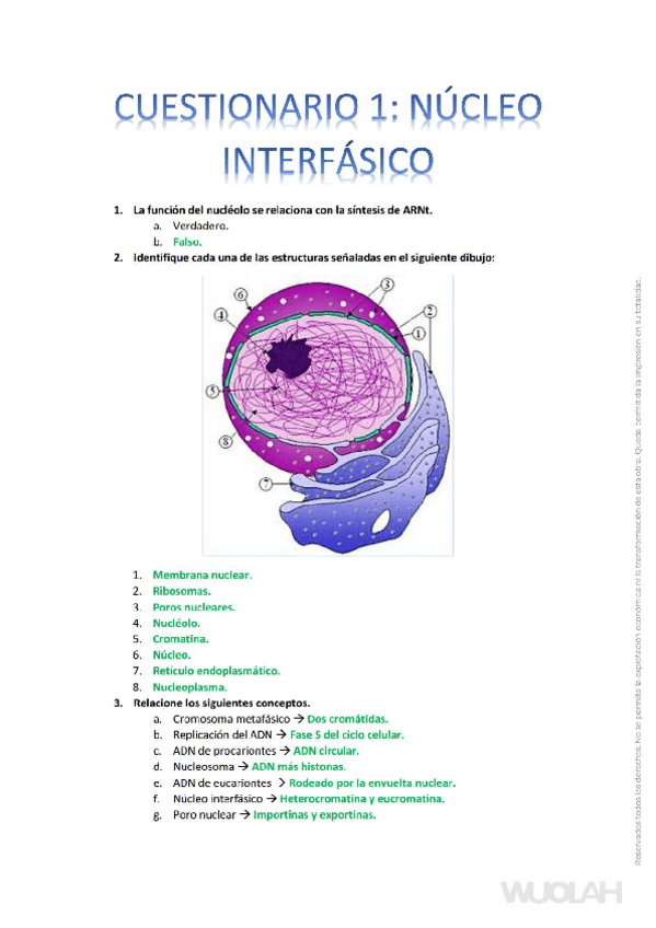 Miniatura del documento Arreglado.pdf