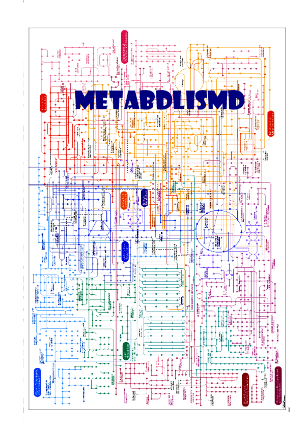 Miniatura del documento RESUMEN-METABOLISMO.pdf