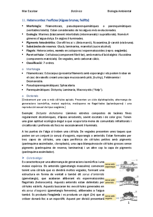 Miniatura del documento 11.pdf