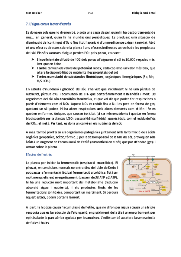 Miniatura del documento 7.pdf