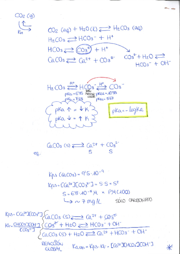 Miniatura del documento Sistema-CO2-Carbonato.pdf