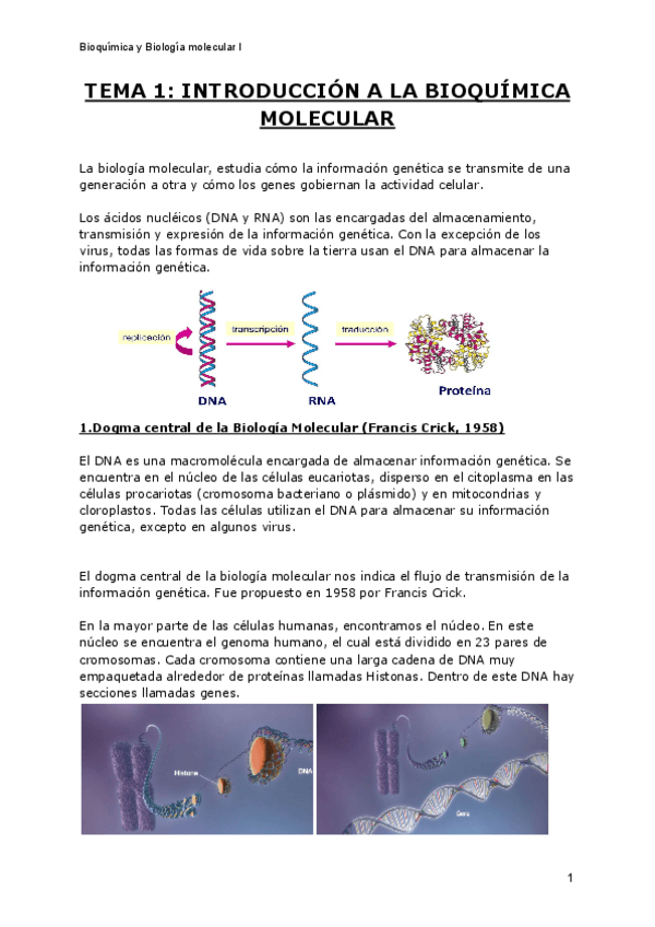 Miniatura del documento TEMA-1-INTRODUCCION-A-LA-BIOQUIMICA-MOLECULAR.pdf