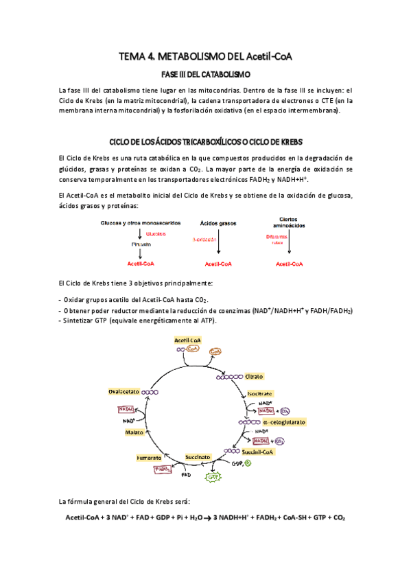 Miniatura del documento TEMA-4.pdf