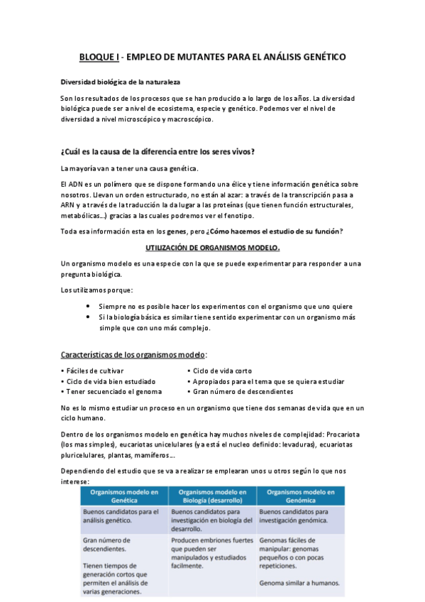 Miniatura del documento BLOQUE-I.pdf