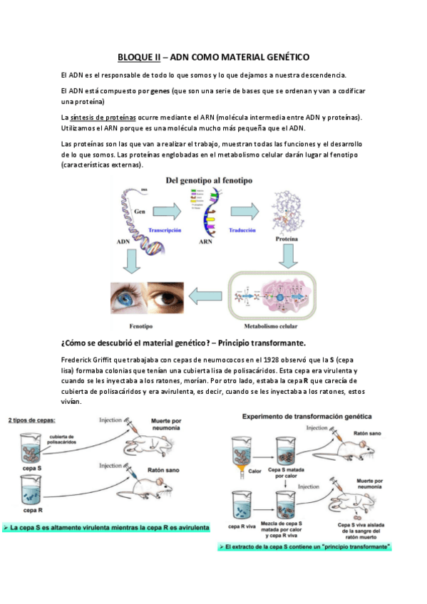 Miniatura del documento BLOQUE-II.pdf