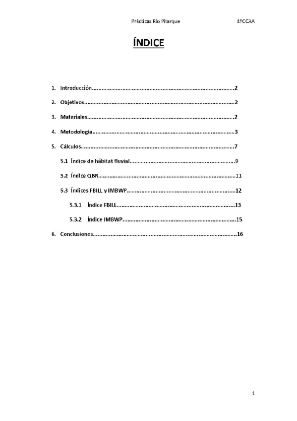 Miniatura del documento RIU-PITARQUE-MEMORIA.pdf
