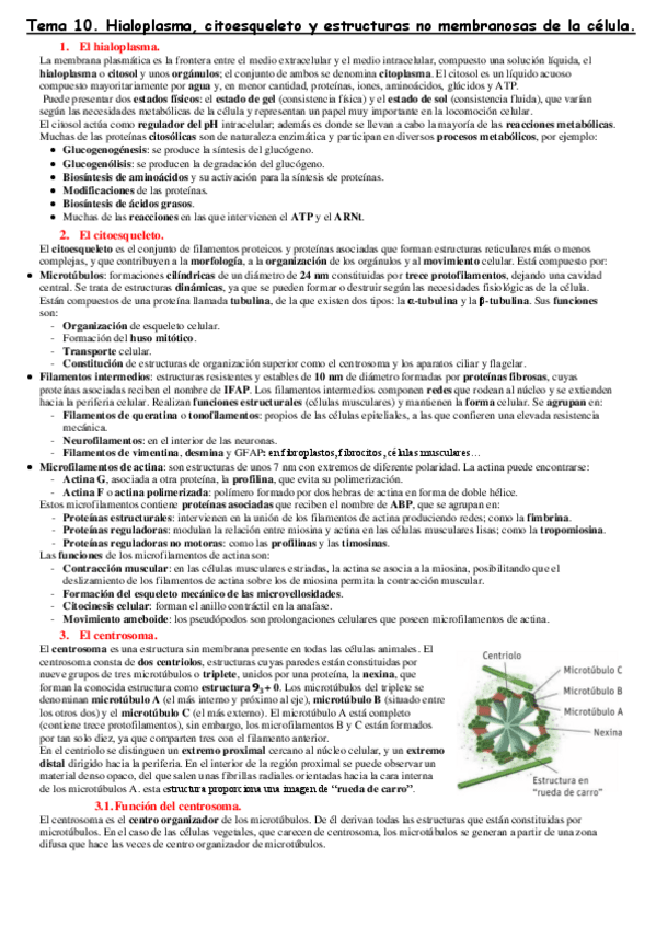 Miniatura del documento Tema-10.pdf