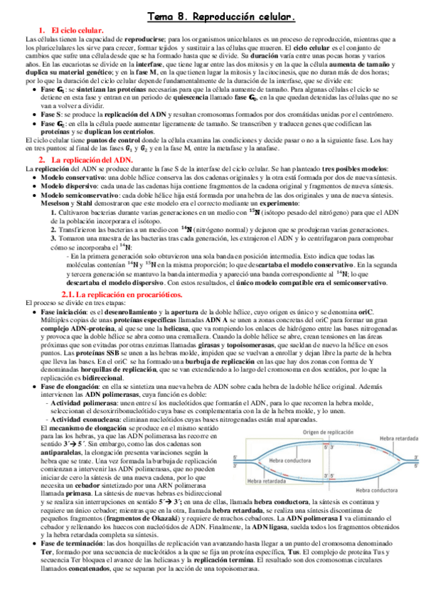Miniatura del documento Tema-8.pdf