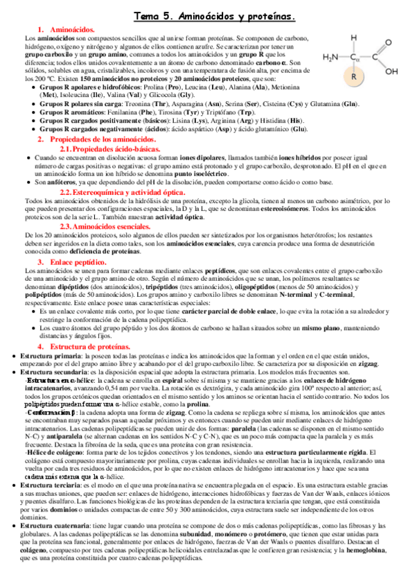 Miniatura del documento Tema-5.pdf