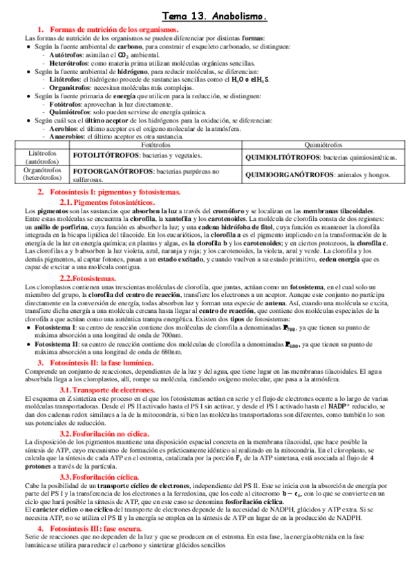 Miniatura del documento Tema-13.pdf