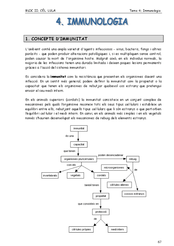 Miniatura del documento Apunts-immunologia.pdf