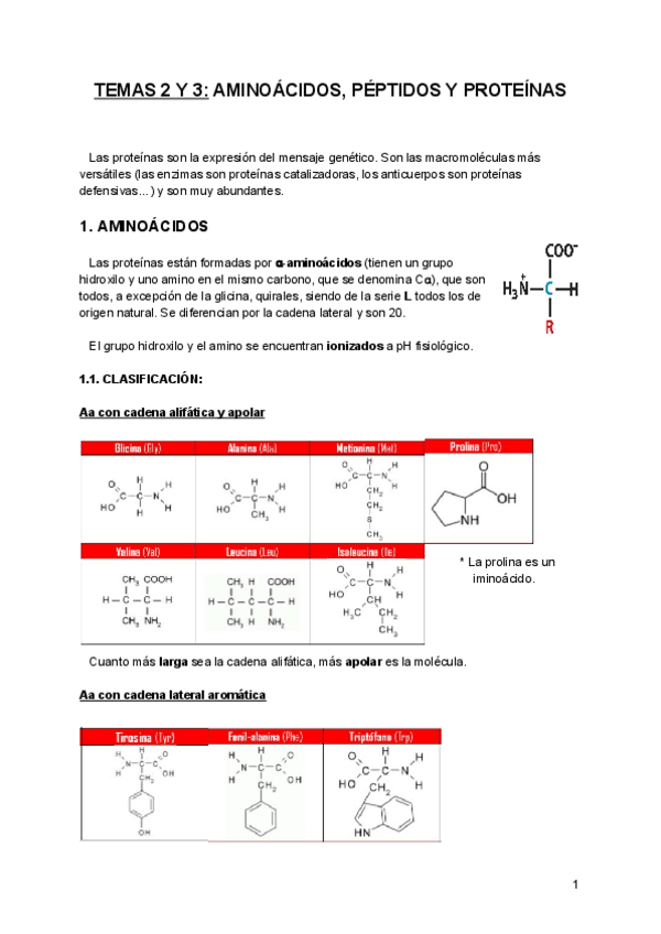 Miniatura del documento Temas 2, 3 y 4 aa-y-proteinas-BQE.pdf