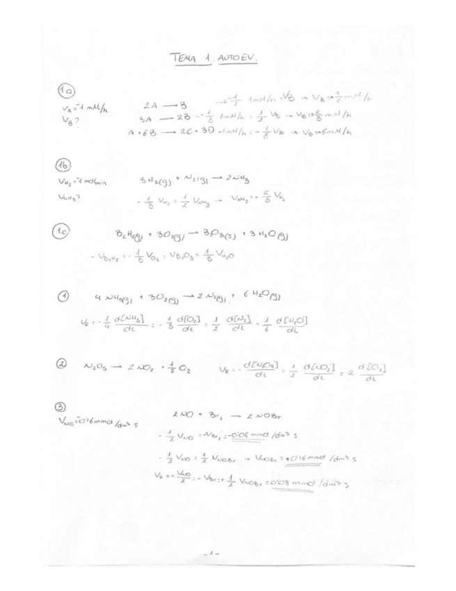 Miniatura del documento Autoevaluacion-y-problemas-resueltos-T1.pdf