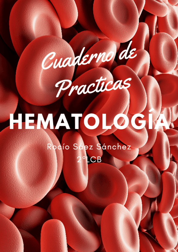Miniatura del documento CUADERNO-DE-PRACTICAS-HEMA.pdf