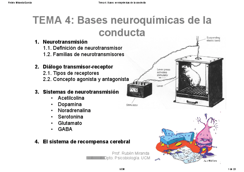 Miniatura del documento TEMA-4.pdf