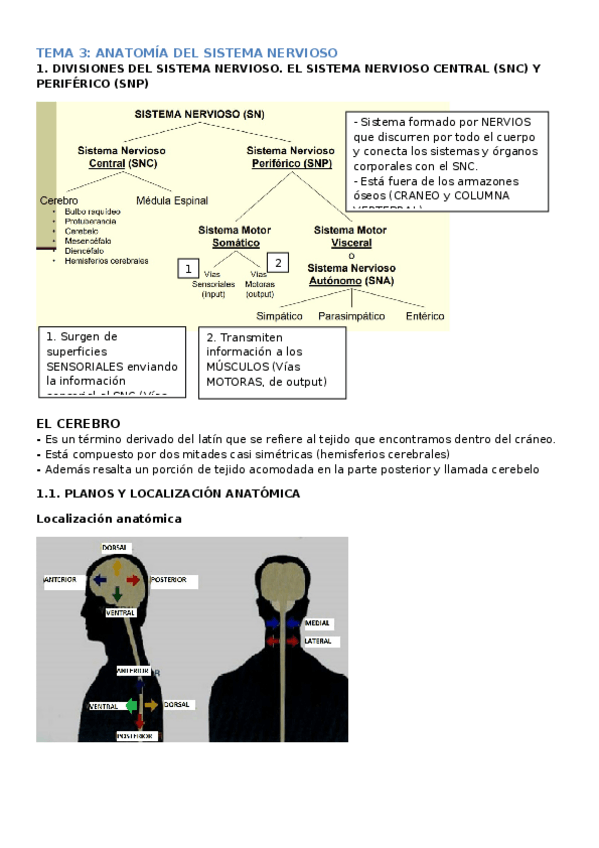 Miniatura del documento TEMA-3.docx
