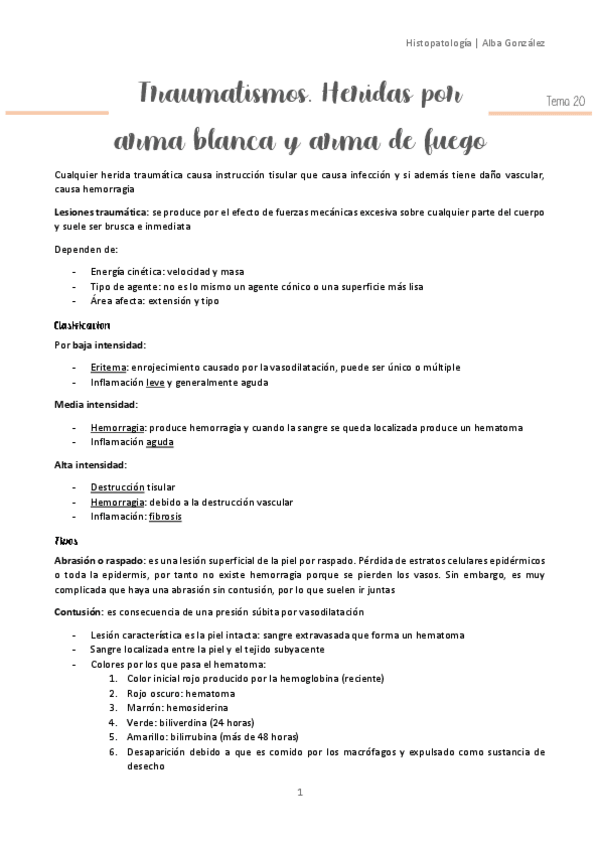 Miniatura del documento Tema-20-Traumatismos-arma-blanca.pdf