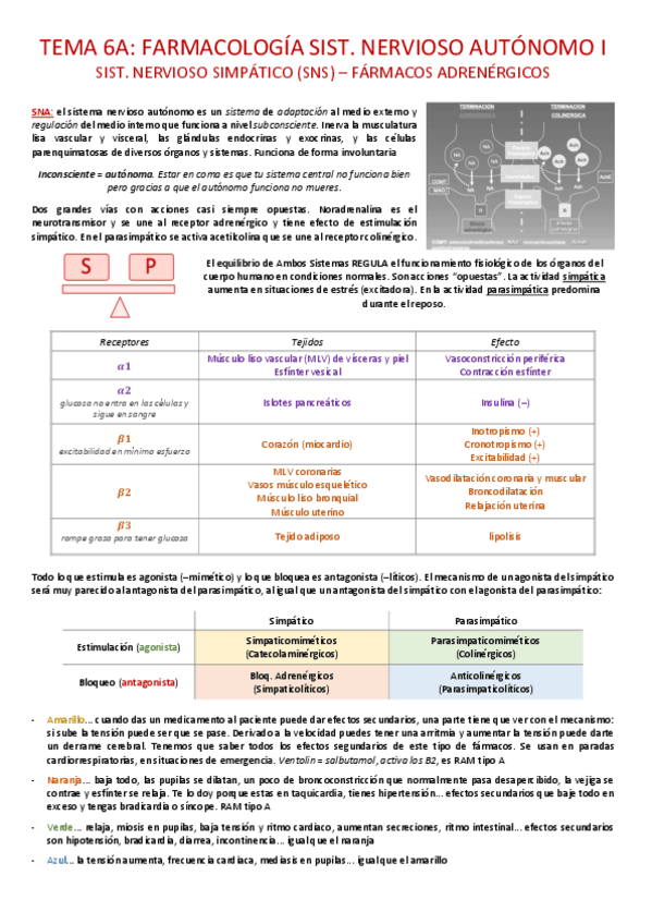 Miniatura del documento tema-6A6B.pdf