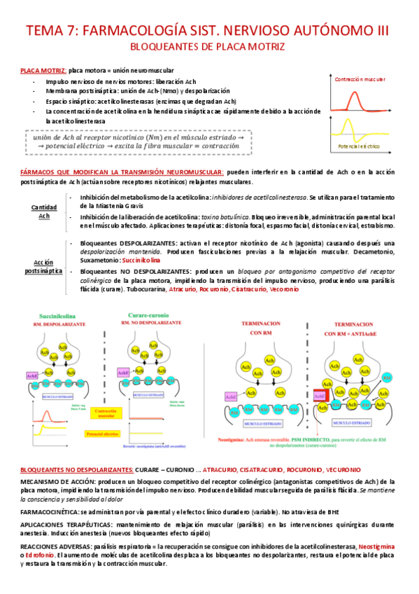 Miniatura del documento tema-7-apuntes.pdf