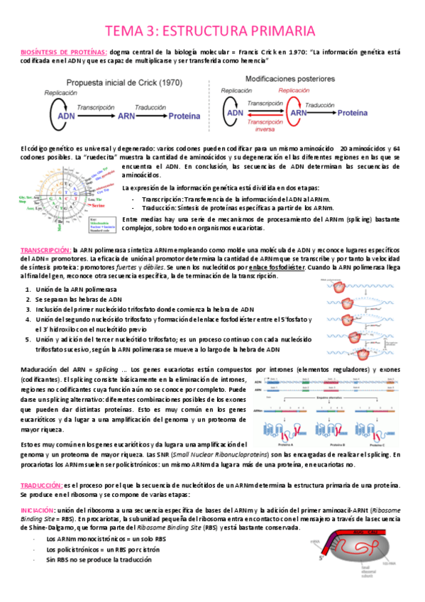 Miniatura del documento Tema-3.pdf