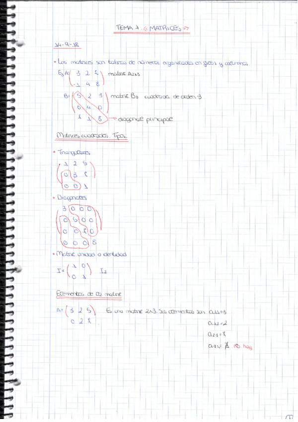 Miniatura del documento tema-1-matrices.pdf