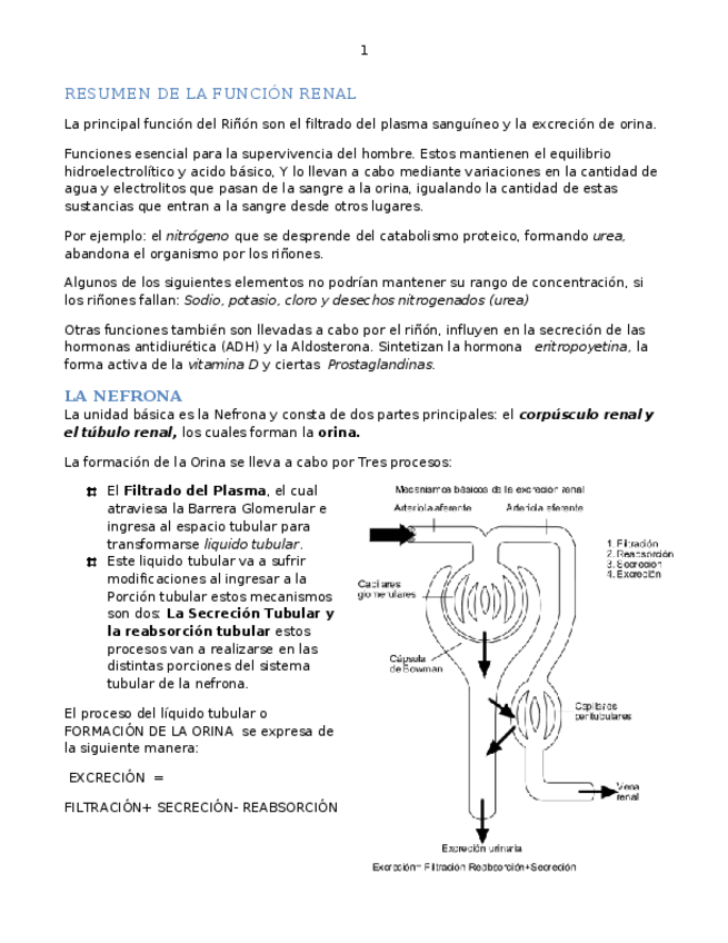 Miniatura del documento formacionorin.docx