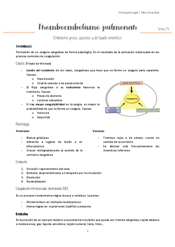 Miniatura del documento Tema-24-Tromboembolismo-pulmonar.pdf