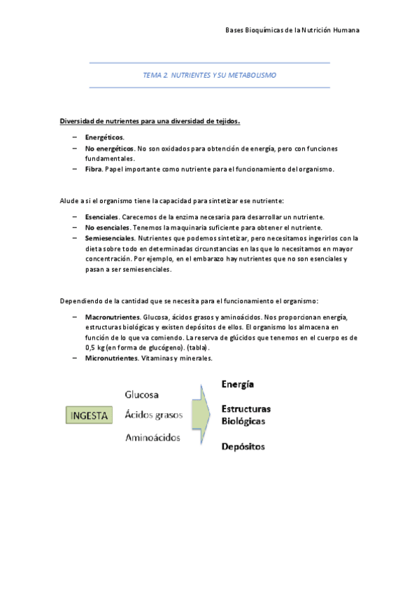Miniatura del documento Tema-2.pdf