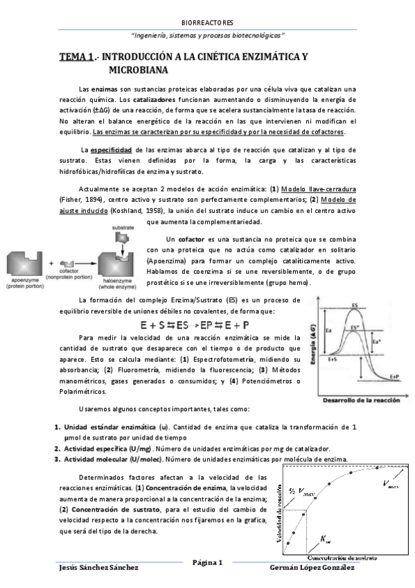 Miniatura del documento Bioreactores.pdf