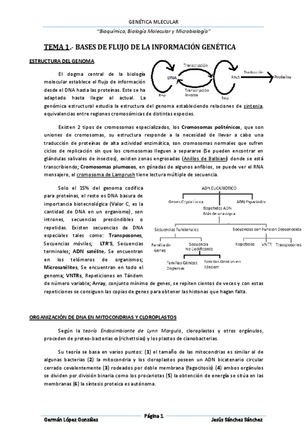 Miniatura del documento Genética molecular.pdf