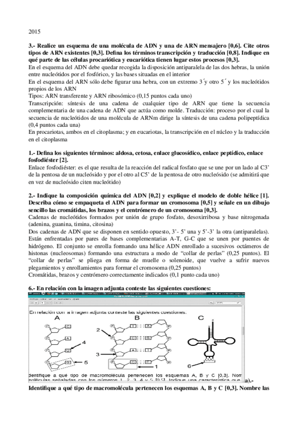 Miniatura del documento 06-PAU-Acidos-Nucleicos.odt