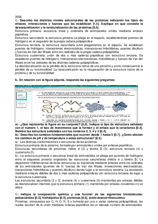 Miniatura del documento 04-PAU-Proteinas.odt