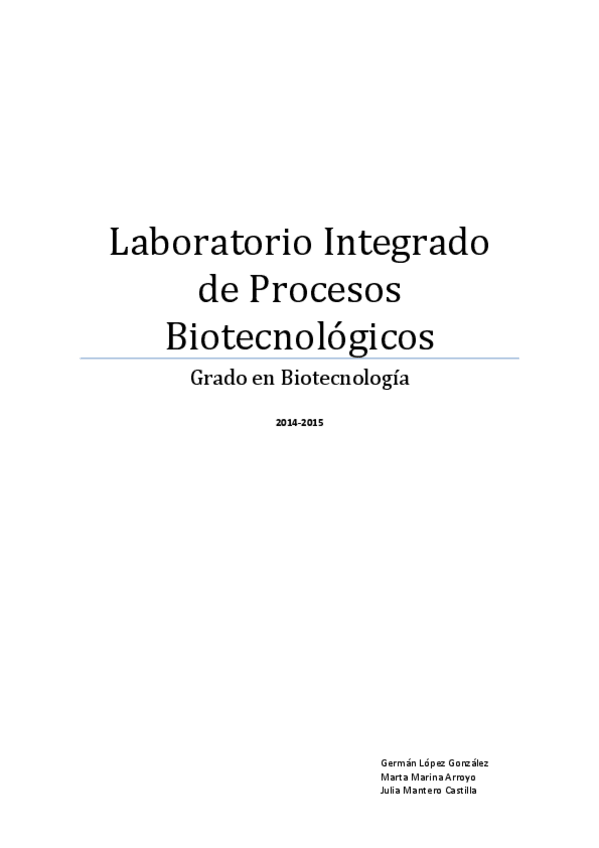Miniatura del documento Memorias LIPROC.pdf