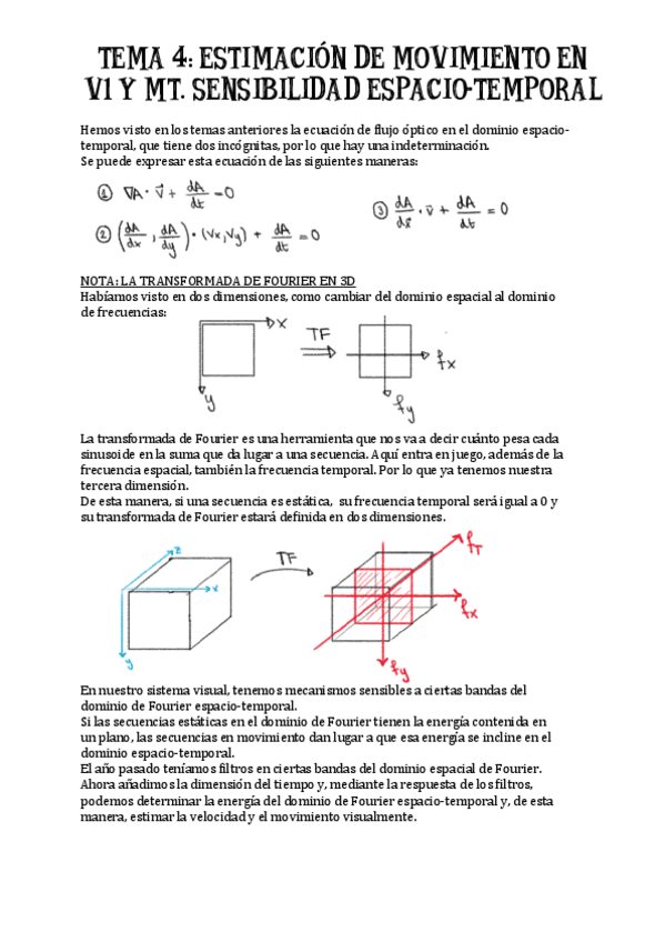 Miniatura del documento TEMA-4-estimacion-movimiento-en-V1-y-MT.pdf
