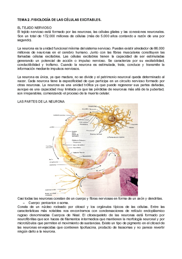 Miniatura del documento TEMA-2-CEL.pdf