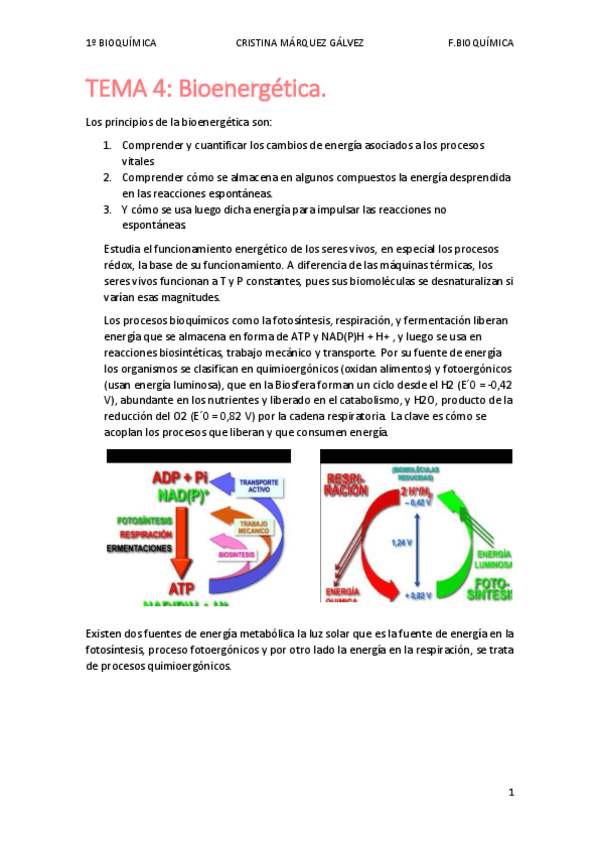 Miniatura del documento BLOQUE-2.pdf