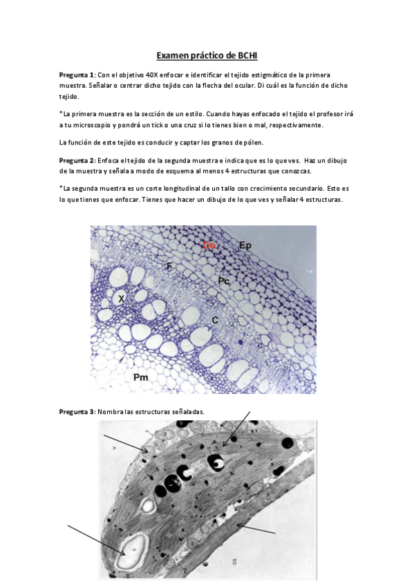 Miniatura del documento Examen práctico de BCHI.pdf