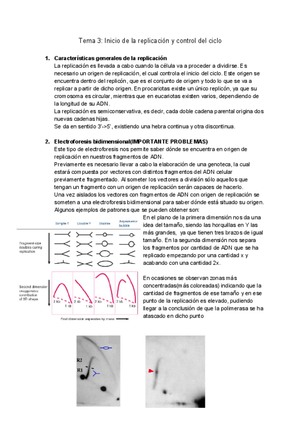 Miniatura del documento Tema-3-Inicio-de-la-replicacion-y-control-del-ciclo.pdf