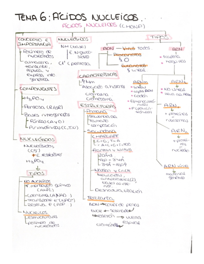Miniatura del documento Acidos-nucleicos.pdf