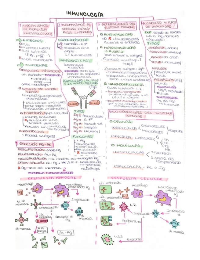 Miniatura del documento Inmunologia.pdf