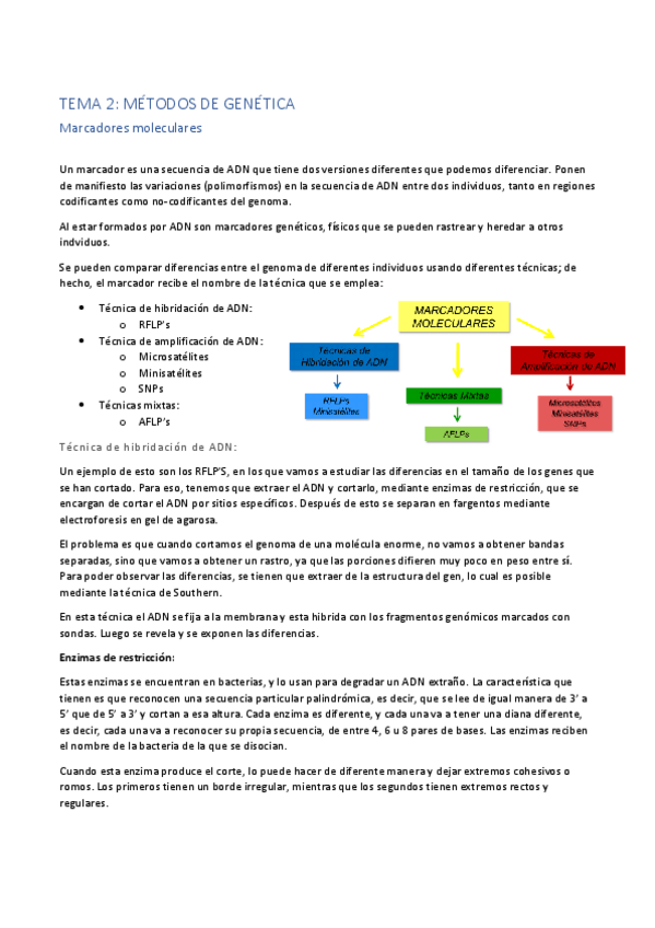 Miniatura del documento Tema-2.pdf