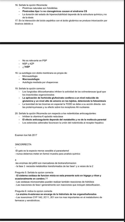 Miniatura del documento 26731352102130000216883905141758564783310700n.jpg