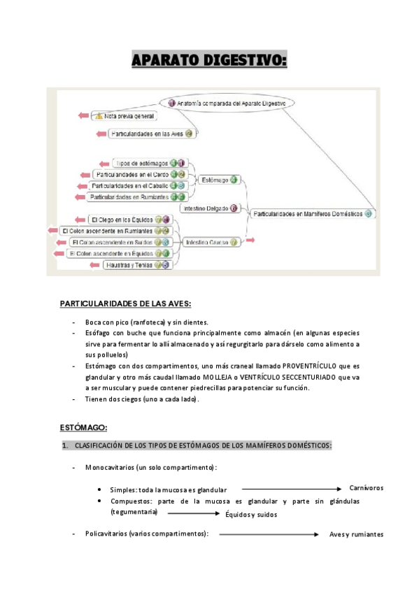 Miniatura del documento ANATO.pdf