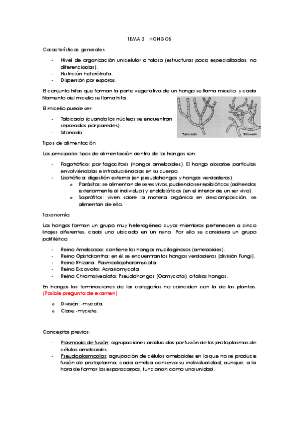 Miniatura del documento Tema-3.pdf