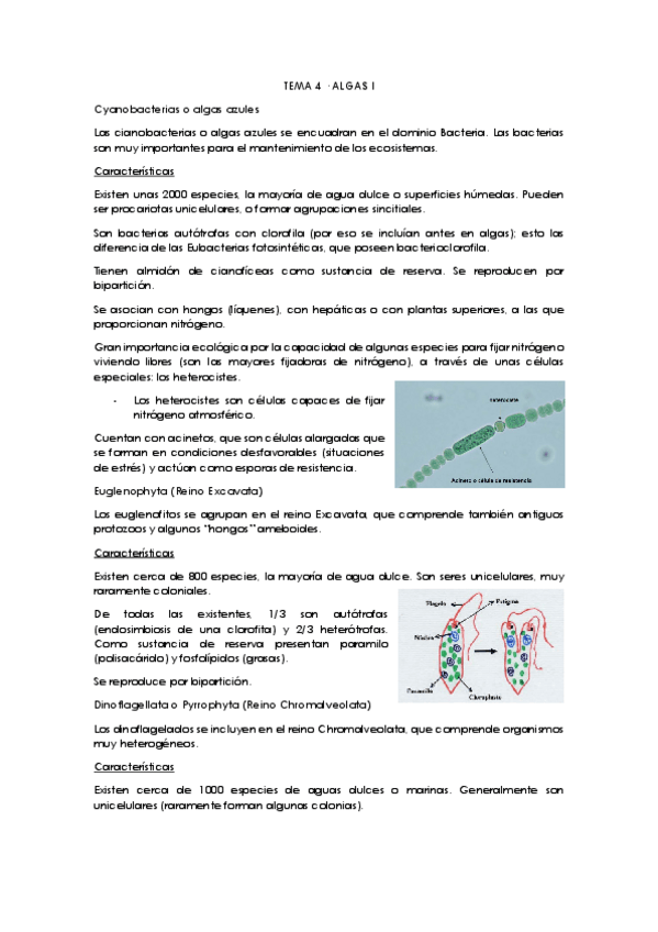 Miniatura del documento Tema-4.pdf